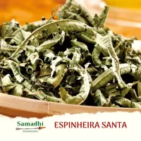 Imagem de Espinheira Santa 30g